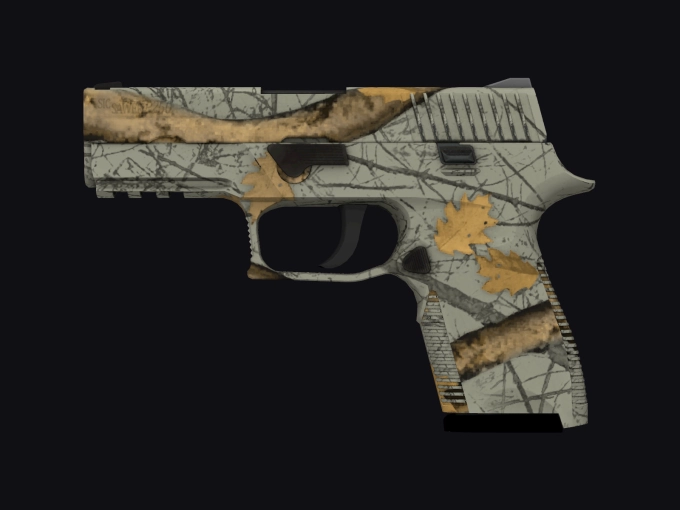 skin preview seed 312