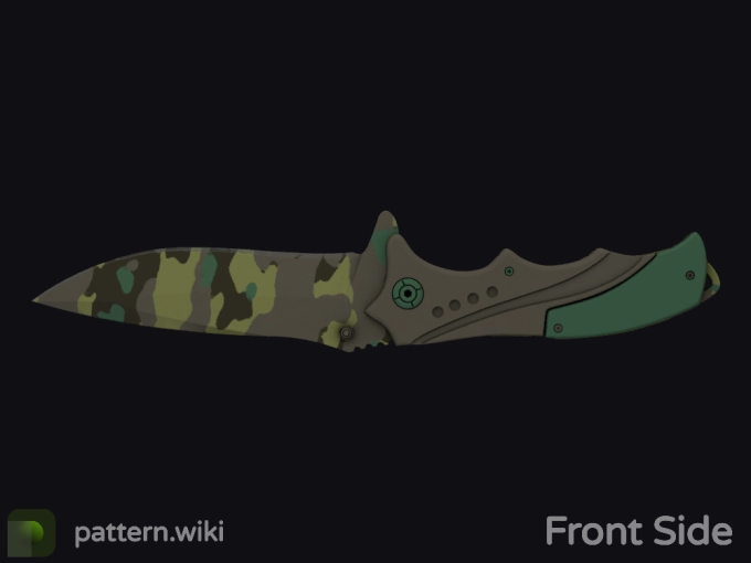 skin preview seed 701