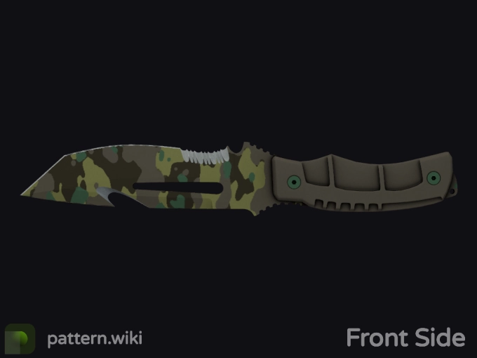 skin preview seed 704