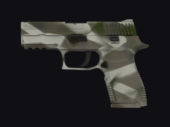 skin preview seed 781