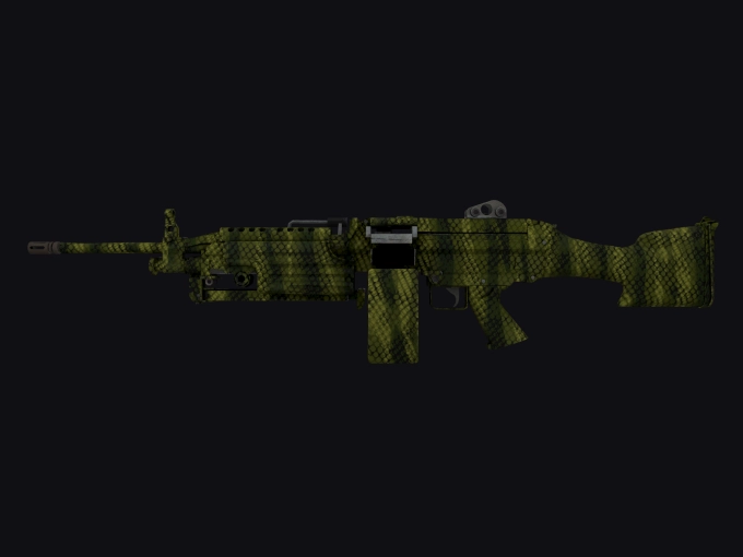 skin preview seed 908