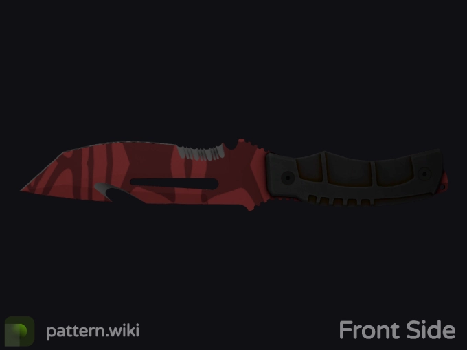 skin preview seed 1000