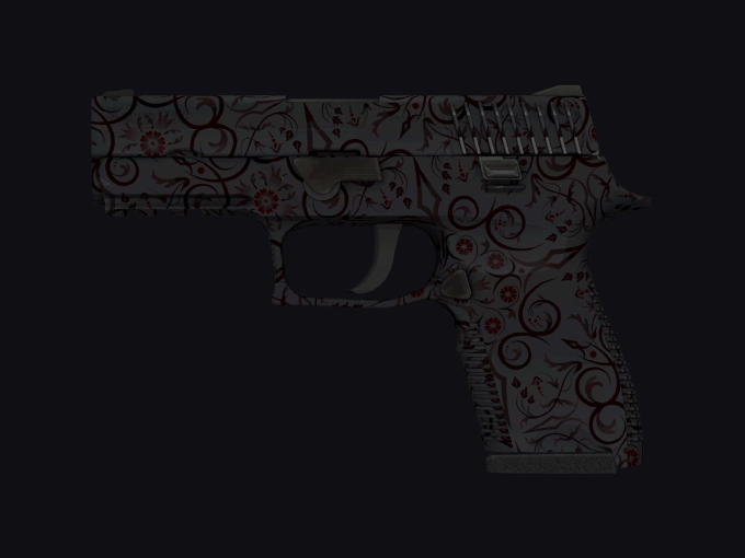 skin preview seed 862