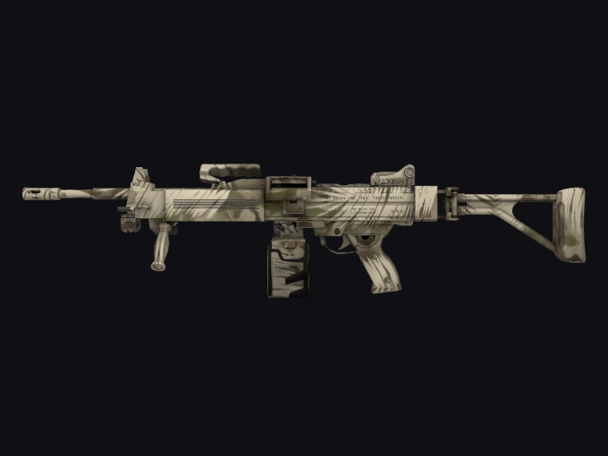 skin preview seed 904