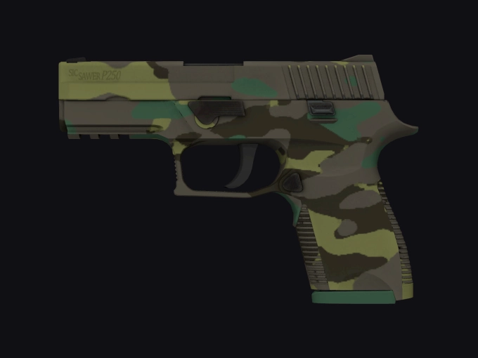 skin preview seed 905