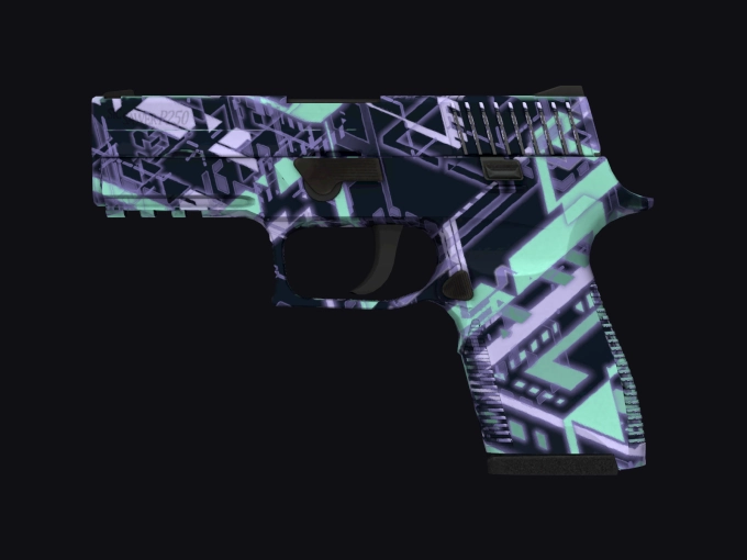 skin preview seed 798