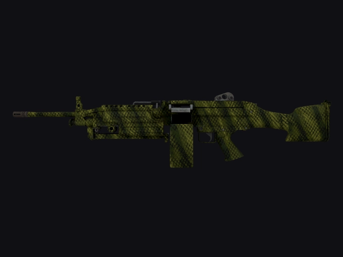 skin preview seed 348