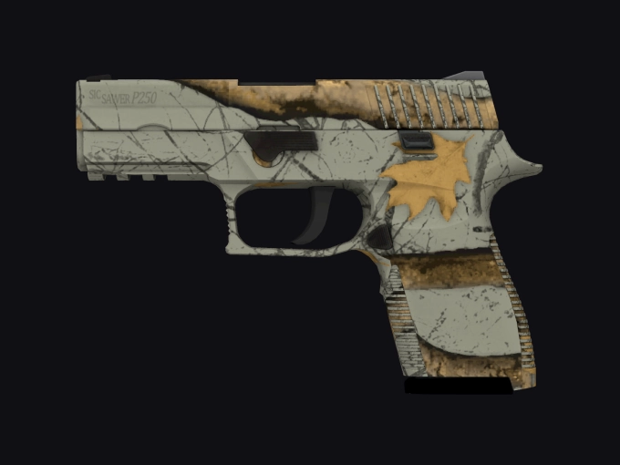 skin preview seed 303