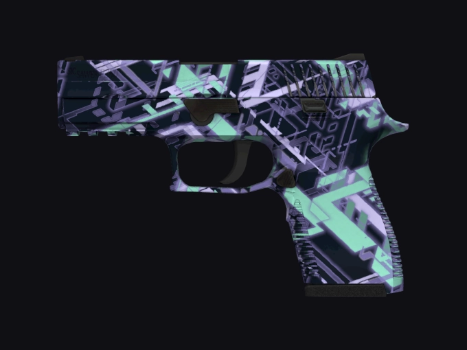 skin preview seed 810