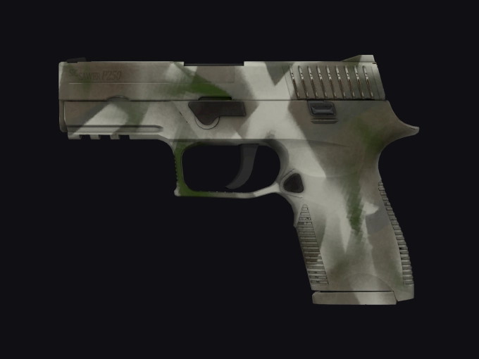 skin preview seed 301