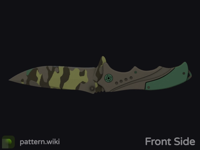 skin preview seed 793