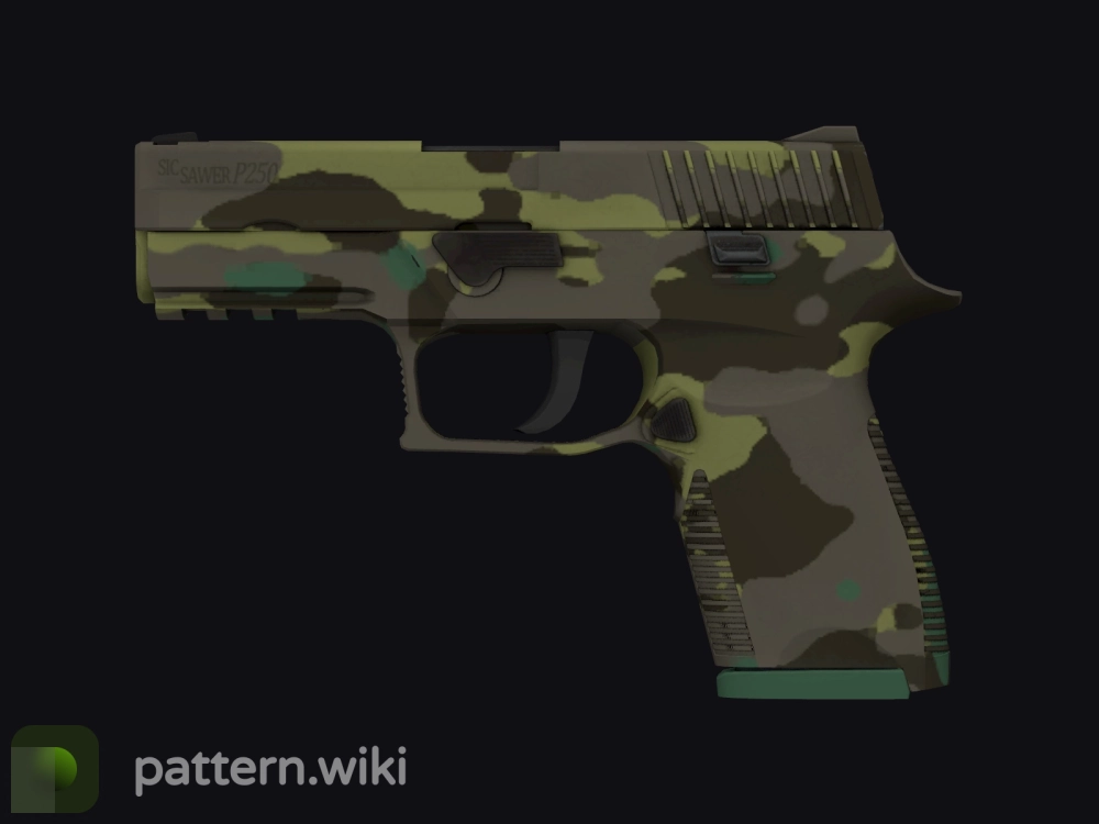 P250 Boreal Forest seed 6