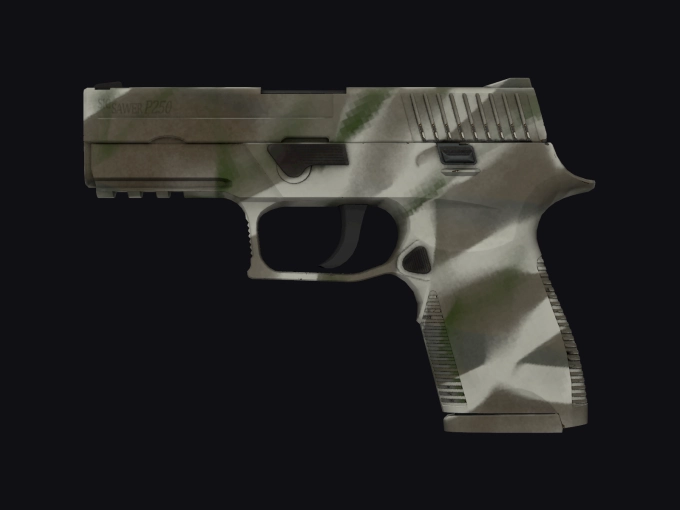 skin preview seed 270