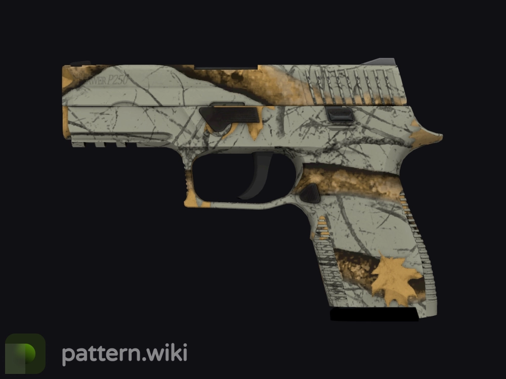 P250 Modern Hunter seed 61