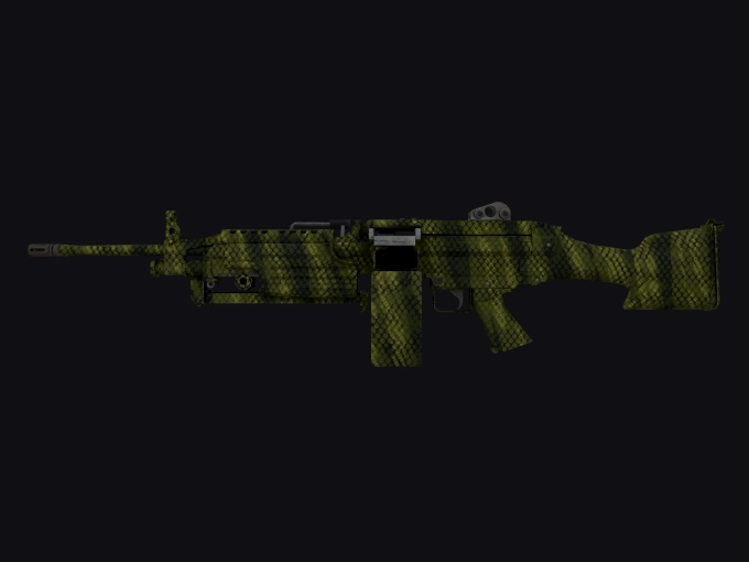 skin preview seed 973