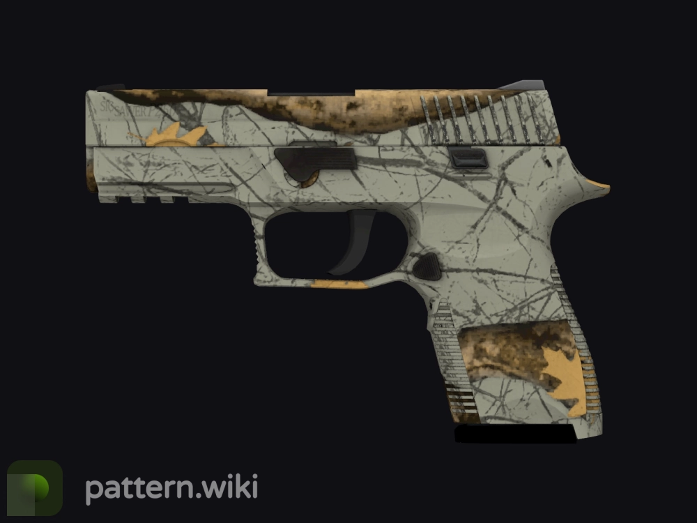 P250 Modern Hunter seed 900