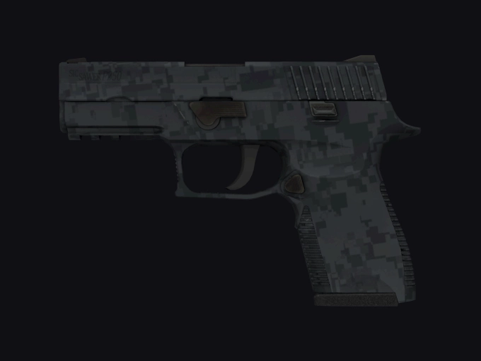 skin preview seed 493