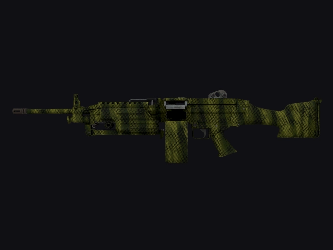 skin preview seed 907