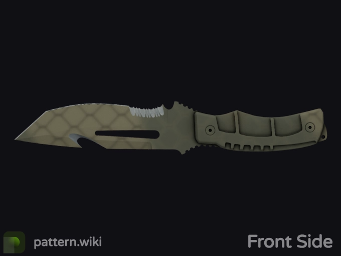 skin preview seed 907