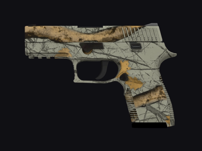 skin preview seed 63