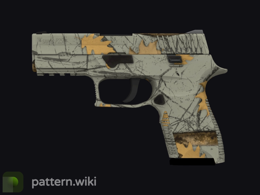 P250 Modern Hunter seed 25