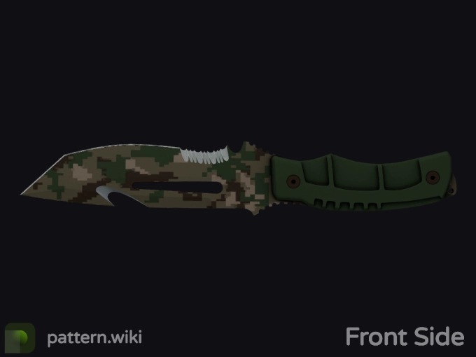 skin preview seed 491