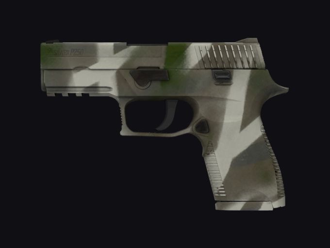 skin preview seed 207