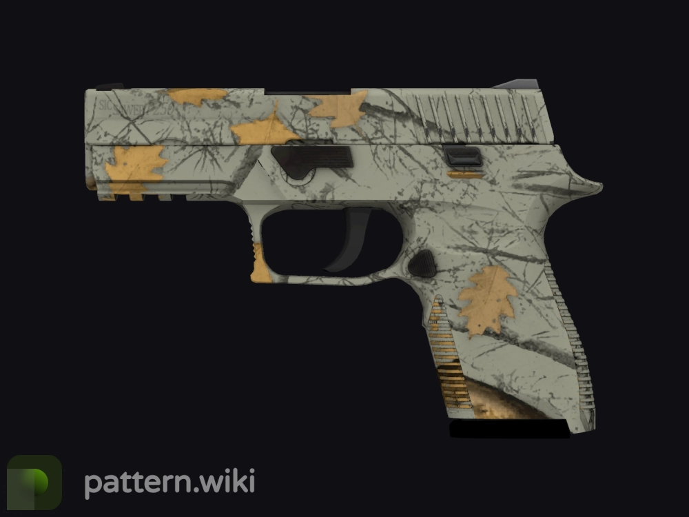 P250 Modern Hunter seed 832