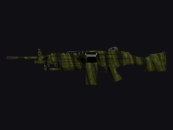 skin preview seed 937