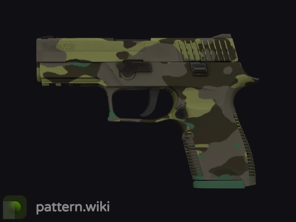 P250 Boreal Forest seed 902