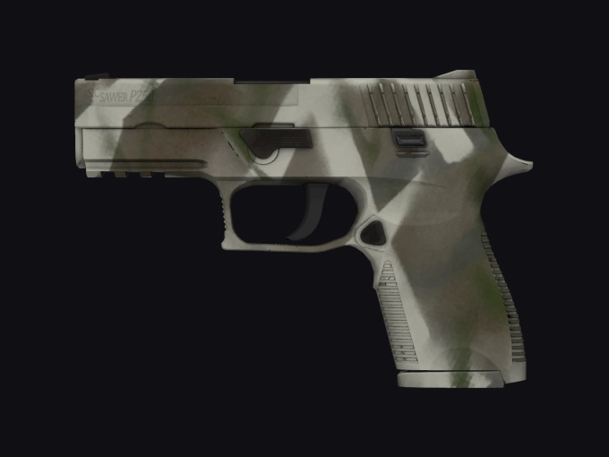 skin preview seed 947