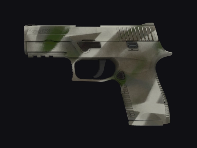 skin preview seed 660