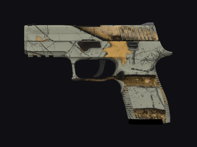 skin preview seed 376