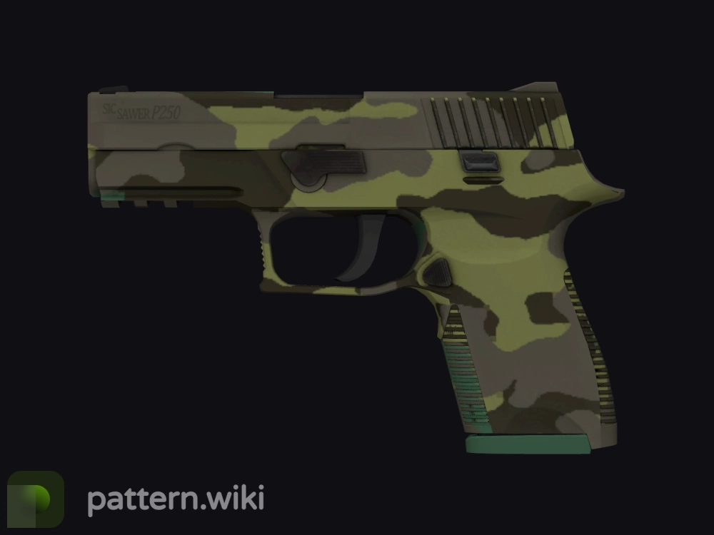 P250 Boreal Forest seed 966