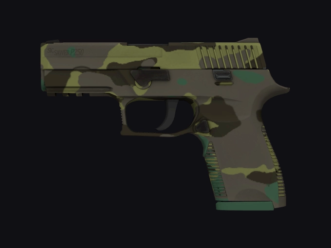 skin preview seed 906