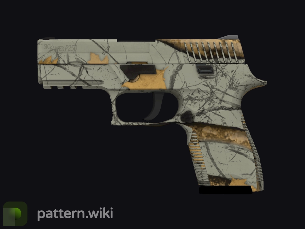 P250 Modern Hunter seed 669