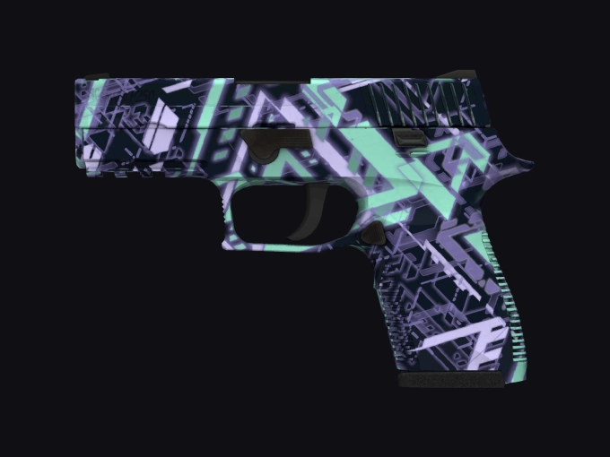 skin preview seed 905