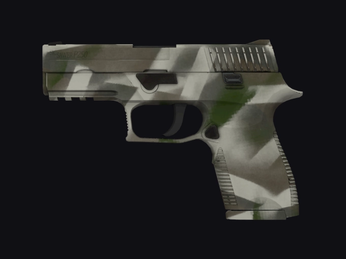 skin preview seed 787