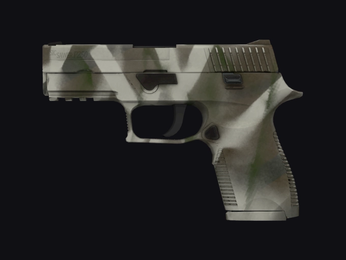 skin preview seed 309