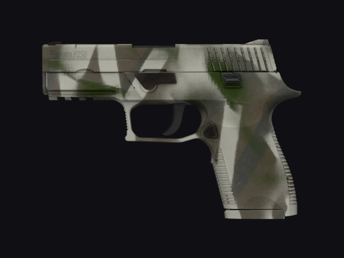 skin preview seed 273