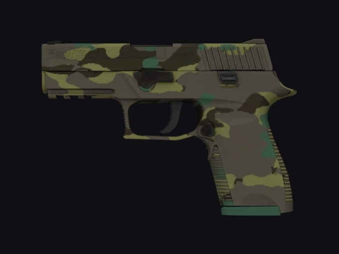 skin preview seed 270