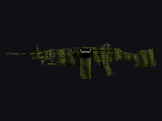 skin preview seed 262