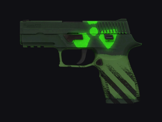 skin preview seed 306