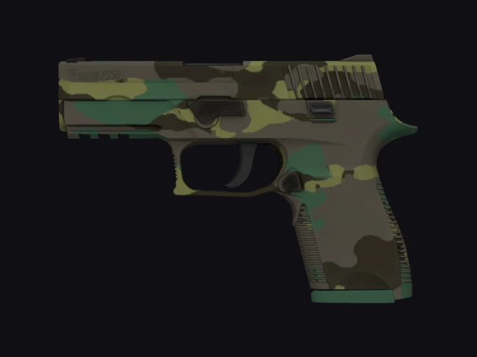 skin preview seed 377