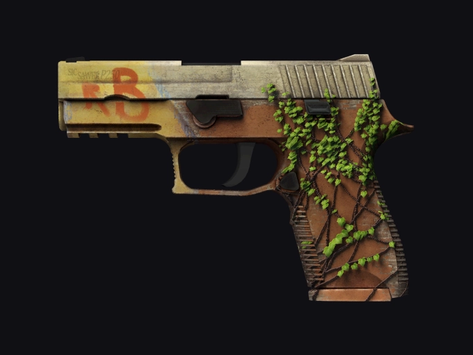 P250 Inferno preview