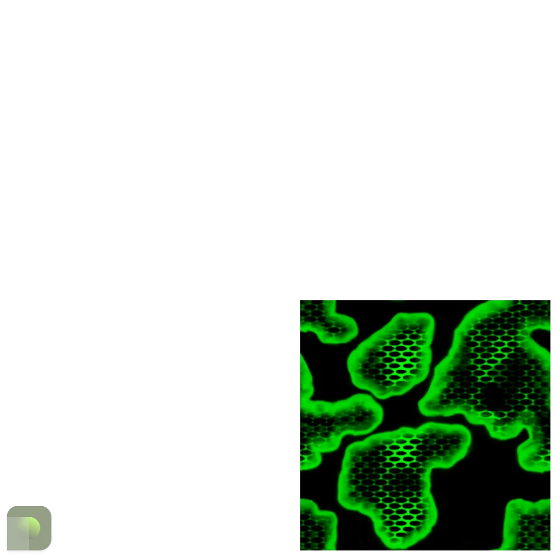 AWP Snake Camo seed 2 pattern template