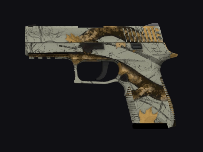 skin preview seed 302