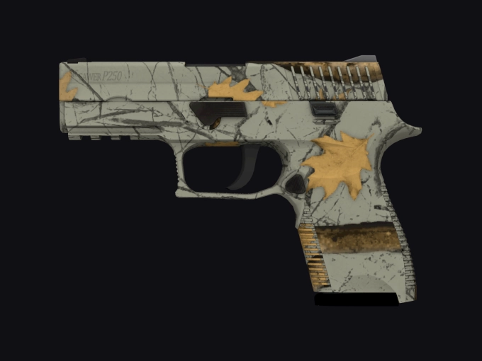 skin preview seed 973