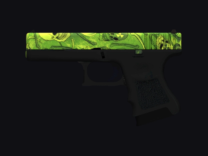 skin preview seed 489