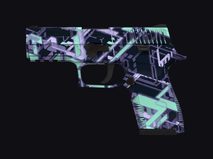 skin preview seed 903